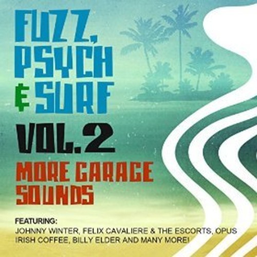 Fuzz Psych & Surf 2: More Garage Sounds / Var -- CD