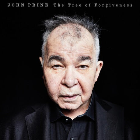 Tree Of Forgiveness, John Prine, LP