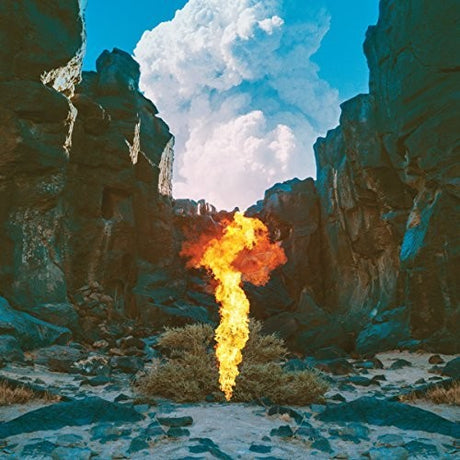 Migration, Bonobo, LP