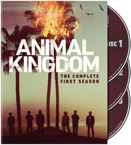 Animal Kingdom: Complete First Season, Animal Kingdom: Complete First Season, DVD