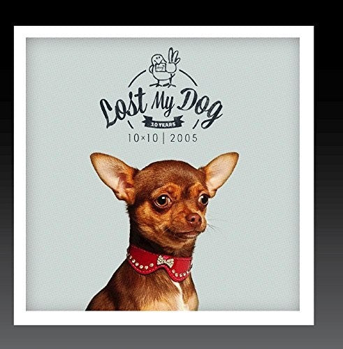 Lost MY Dog 10X10: 2005 / Var -- CD