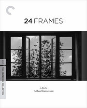 24 Frames/Bd