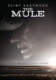 Mule