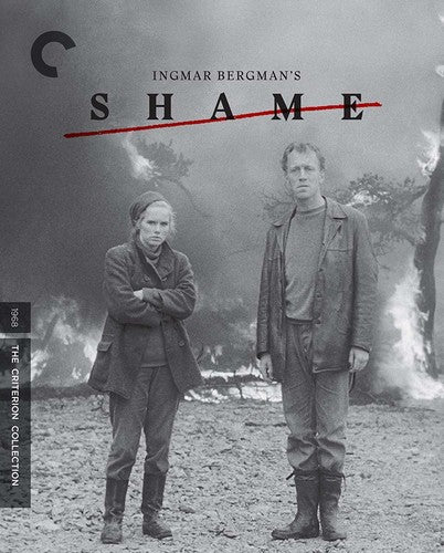 Shame/Bd