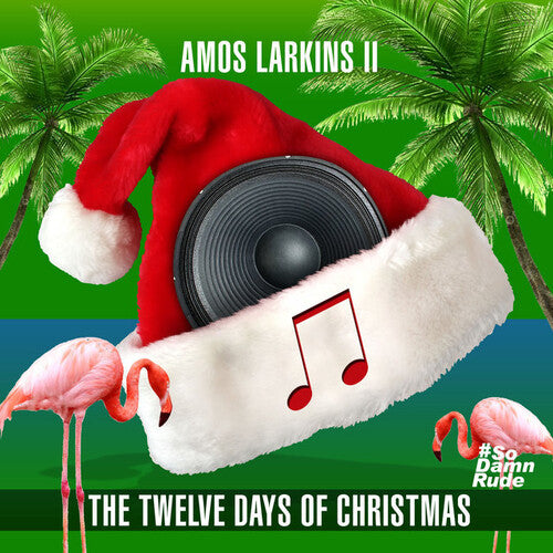 Twelve Days Of Christmas -- Amos Larkins Ii, CD