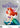 Little Mermaid 30Th Anniversary Signature Coll