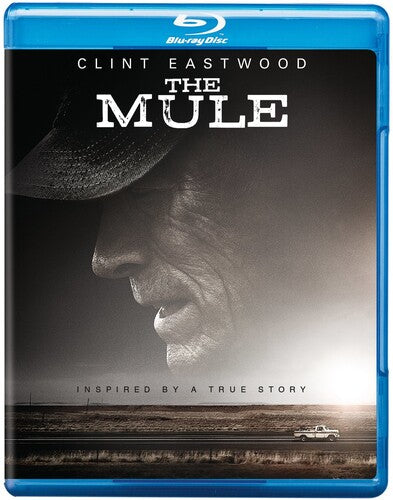 Mule