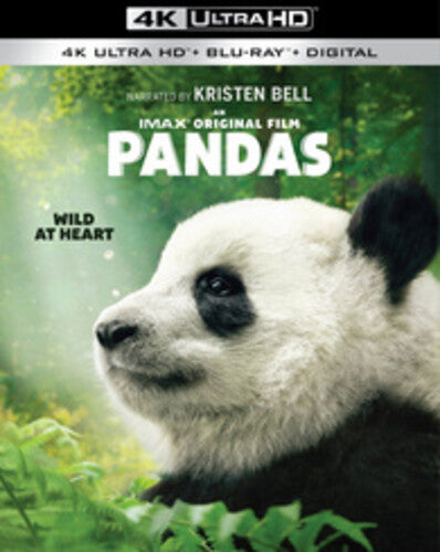 Pandas, Pandas, ULTRA HD