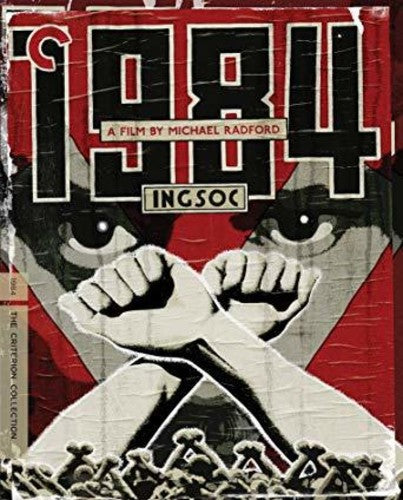 1984 Bd