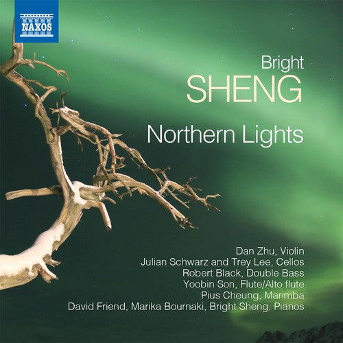 Rthern Lights -- Sheng / Zhu / Bournaki, CD