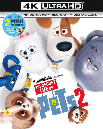 Secret Life Of Pets 2, Secret Life Of Pets 2, ULTRA HD