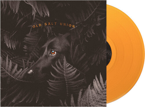 Where The Dogs Don't Bite -- Old Salt Union, LP
