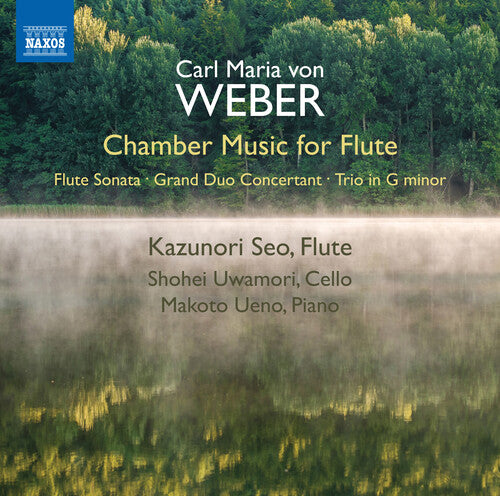 Chamber Music For Flute -- Weber / Seo / Uwamori, CD
