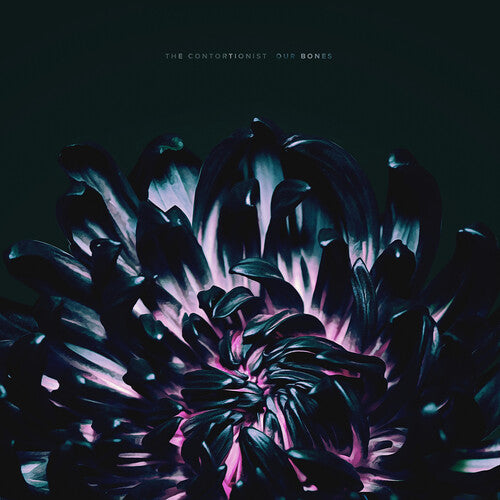 Our Bones -- Contortionist, CD