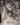 Haxan/Bd