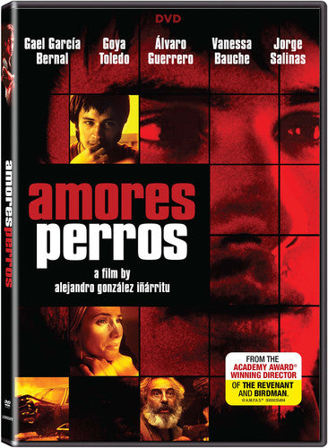 Amores Perros, Amores Perros, DVD