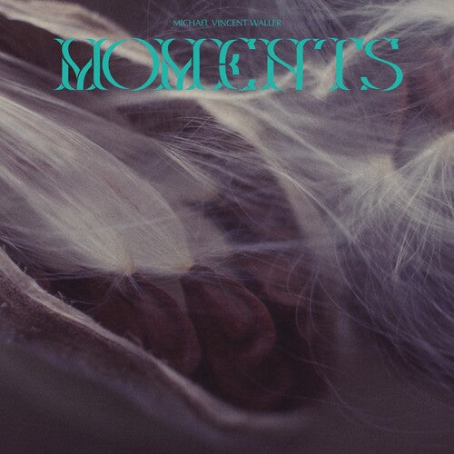 Moments -- Michael Vincent Waller, LP