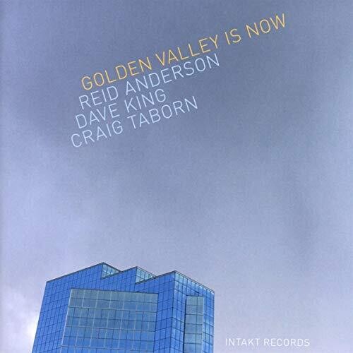 Golden Valley Is Now -- Anderson / King / Taborn, CD