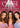 Charmed: Complete Fourth Season