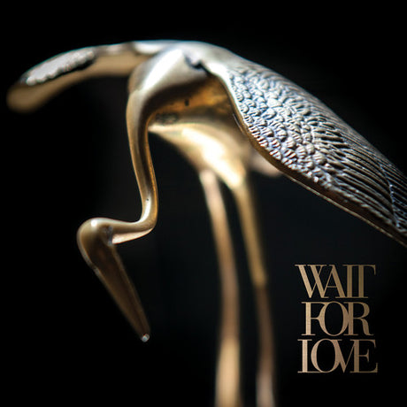Wait For Love, Pianos Become The Teeth, LP