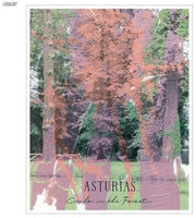 Circle In The Forest