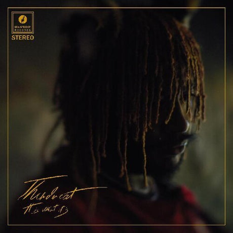 It Is What It Is, Thundercat, LP