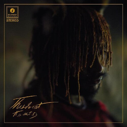 It Is What It Is, Thundercat, LP