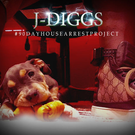 #90Dayhousearrestproject -- J. Diggs, CD
