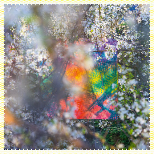Sixteen Oceans -- Four Tet, CD