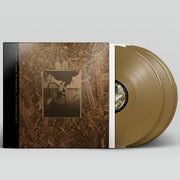 Come On Pilgrim It's Surfer Rosa