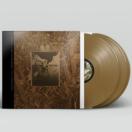 Come On Pilgrim It's Surfer Rosa, Pixies, LP
