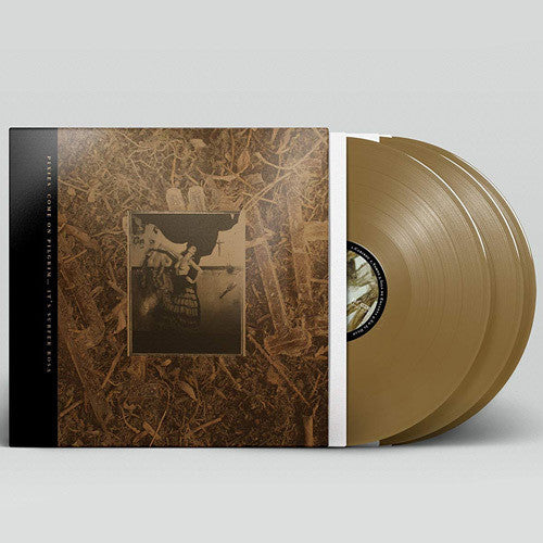 Come On Pilgrim It's Surfer Rosa, Pixies, LP