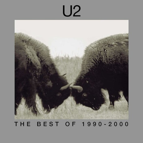 Best Of 1990-2000, U2, LP