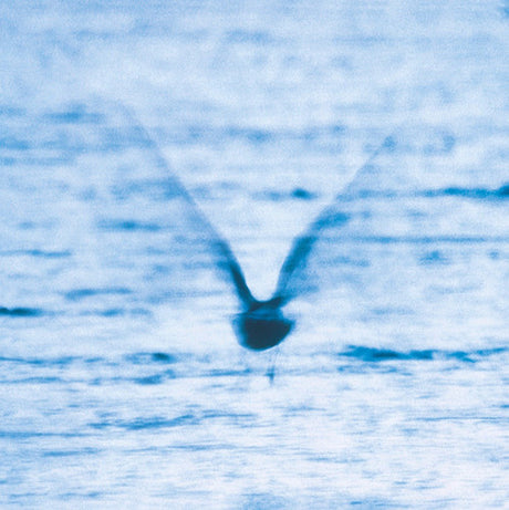 Mellow Dream, Ryo Fukui, LP