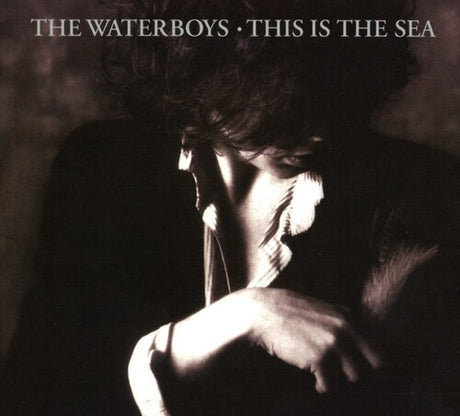 This Is The Sea: Collectors Edition, Waterboys, CD