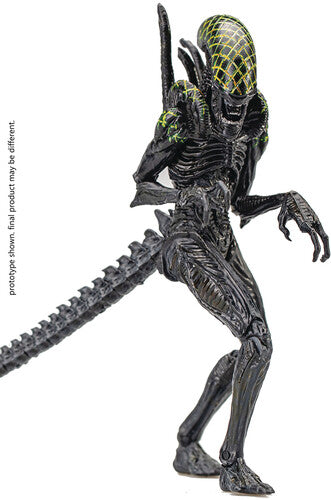 Avp Grid Alien Px 1/18 Scale Figure