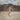 Tipping Scale - Clear