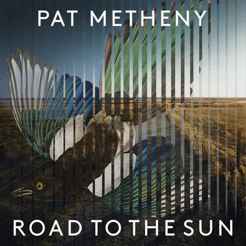 Road To The Sun, Pat Metheny, LP