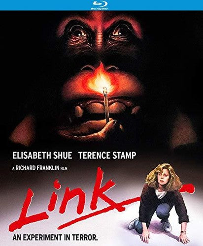 Link (1986)
