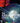 Andromeda Strain