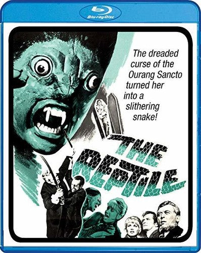 Reptile