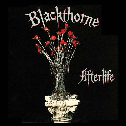 Afterlife -- Blackthorne, LP