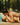 La Piscine Bd