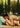 La Piscine Dvd