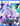 Ps5 Neptunia Reverse
