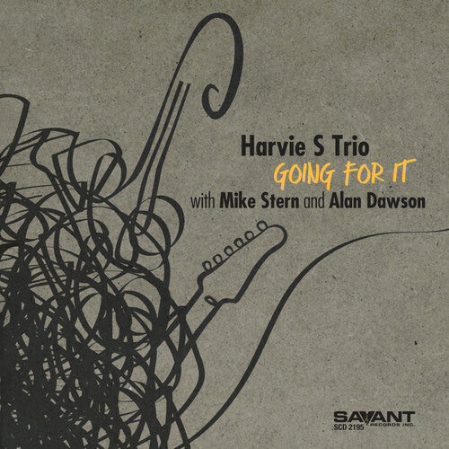 Going For It -- Harvie S Trio, CD