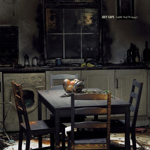 Good Year To Forget -- Joey Cape, CD