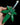 Axe Hvn Tc420 Cheech & Chong Sweet Leaf Mary Jane