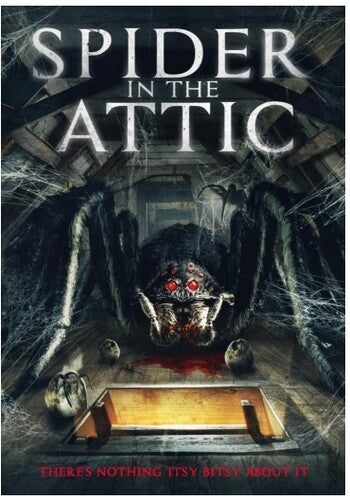 Spider In The Attic