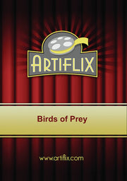 Birds Of Prey